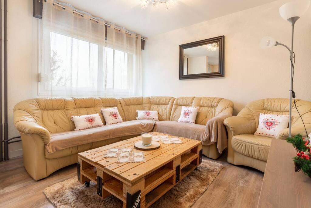 Superbe Appartement Spacieux Avec Parking Gratuit Illzach Exterior foto