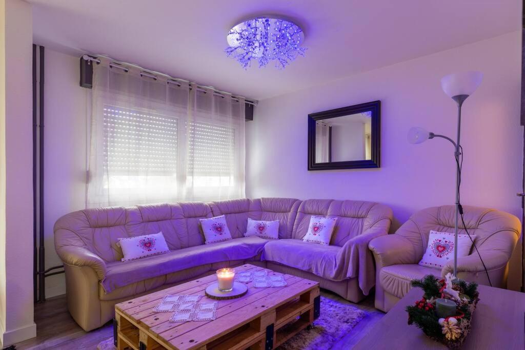 Superbe Appartement Spacieux Avec Parking Gratuit Illzach Exterior foto